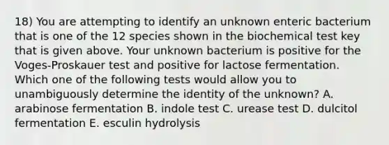 18) You are attempting to identify an unknown enteric bacterium that is one of the 12 species shown in the biochemical test key that is given above. Your unknown bacterium is positive for the Voges-Proskauer test and positive for lactose fermentation. Which one of the following tests would allow you to unambiguously determine the identity of the unknown? A. arabinose fermentation B. indole test C. urease test D. dulcitol fermentation E. esculin hydrolysis