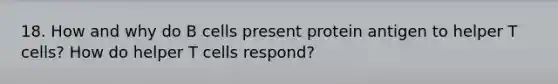 18. How and why do B cells present protein antigen to helper T cells? How do helper T cells respond?