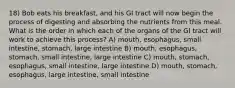 18) Bob eats his breakfast, and his GI tract will now begin the process of digesting and absorbing the nutrients from this meal. What is the order in which each of the organs of the GI tract will work to achieve this process? A) mouth, esophagus, small intestine, stomach, large intestine B) mouth, esophagus, stomach, small intestine, large intestine C) mouth, stomach, esophagus, small intestine, large intestine D) mouth, stomach, esophagus, large intestine, small intestine