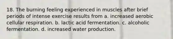 18. The burning feeling experienced in muscles after brief periods of intense exercise results from a. increased aerobic cellular respiration. b. lactic acid fermentation. c. alcoholic fermentation. d. increased water production.