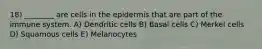 18) ________ are cells in the epidermis that are part of the immune system. A) Dendritic cells B) Basal cells C) Merkel cells D) Squamous cells E) Melanocytes