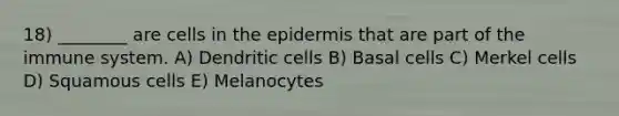 18) ________ are cells in the epidermis that are part of the immune system. A) Dendritic cells B) Basal cells C) Merkel cells D) Squamous cells E) Melanocytes