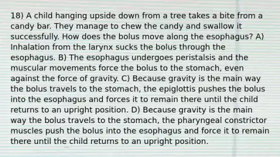 18) A child hanging upside down from a tree takes a bite from a candy bar. They manage to chew the candy and swallow it successfully. How does the bolus move along the esophagus? A) Inhalation from the larynx sucks the bolus through the esophagus. B) The esophagus undergoes peristalsis and the muscular movements force the bolus to the stomach, even against the force of gravity. C) Because gravity is the main way the bolus travels to the stomach, the epiglottis pushes the bolus into the esophagus and forces it to remain there until the child returns to an upright position. D) Because gravity is the main way the bolus travels to the stomach, the pharyngeal constrictor muscles push the bolus into the esophagus and force it to remain there until the child returns to an upright position.