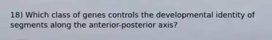 18) Which class of genes controls the developmental identity of segments along the anterior-posterior axis?