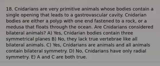 18. Cnidarians are very primitive animals whose bodies contain a single opening that leads to a gastrovascular cavity. Cnidarian bodies are either a polyp with one end fastened to a rock, or a medusa that floats through the ocean. Are Cnidarians considered bilateral animals? A) Yes, Cnidarian bodies contain three symmetrical planes B) No, they lack true vertebrae like all bilateral animals. C) Yes, Cnidarians are animals and all animals contain bilateral symmetry. D) No, Cnidarians have only radial symmetry. E) A and C are both true.