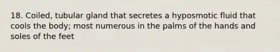18. Coiled, tubular gland that secretes a hyposmotic fluid that cools the body; most numerous in the palms of the hands and soles of the feet