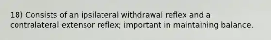 18) Consists of an ipsilateral withdrawal reflex and a contralateral extensor reflex; important in maintaining balance.