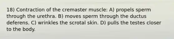 18) Contraction of the cremaster muscle: A) propels sperm through the urethra. B) moves sperm through the ductus deferens. C) wrinkles the scrotal skin. D) pulls the testes closer to the body.