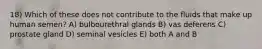 18) Which of these does not contribute to the fluids that make up human semen? A) bulbourethral glands B) vas deferens C) prostate gland D) seminal vesicles E) both A and B