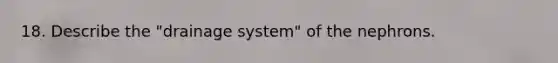 18. Describe the "drainage system" of the nephrons.