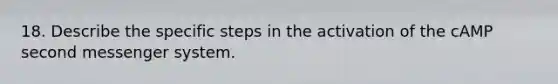 18. Describe the specific steps in the activation of the cAMP second messenger system.