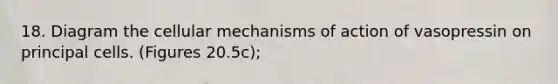 18. Diagram the cellular mechanisms of action of vasopressin on principal cells. (Figures 20.5c);