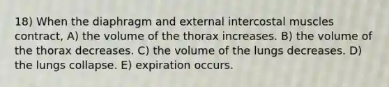 18) When the diaphragm and external intercostal muscles contract, A) the volume of the thorax increases. B) the volume of the thorax decreases. C) the volume of the lungs decreases. D) the lungs collapse. E) expiration occurs.