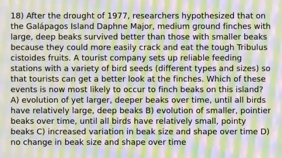 18) After the drought of 1977, researchers hypothesized that on the Galápagos Island Daphne Major, medium ground finches with large, deep beaks survived better than those with smaller beaks because they could more easily crack and eat the tough Tribulus cistoides fruits. A tourist company sets up reliable feeding stations with a variety of bird seeds (different types and sizes) so that tourists can get a better look at the finches. Which of these events is now most likely to occur to finch beaks on this island? A) evolution of yet larger, deeper beaks over time, until all birds have relatively large, deep beaks B) evolution of smaller, pointier beaks over time, until all birds have relatively small, pointy beaks C) increased variation in beak size and shape over time D) no change in beak size and shape over time