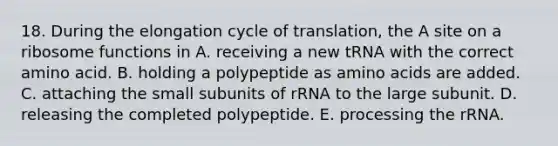 18. During the elongation cycle of translation, the A site on a ribosome functions in A. receiving a new tRNA with the correct amino acid. B. holding a polypeptide as amino acids are added. C. attaching the small subunits of rRNA to the large subunit. D. releasing the completed polypeptide. E. processing the rRNA.