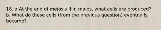 18. a At the end of meiosis II in males, what cells are produced? b. What do these cells (from the previous question) eventually become?