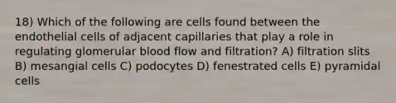 18) Which of the following are cells found between the endothelial cells of adjacent capillaries that play a role in regulating glomerular blood flow and filtration? A) filtration slits B) mesangial cells C) podocytes D) fenestrated cells E) pyramidal cells