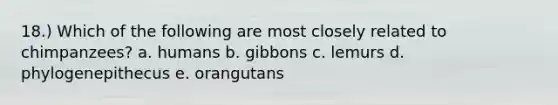 18.) Which of the following are most closely related to chimpanzees? a. humans b. gibbons c. lemurs d. phylogenepithecus e. orangutans