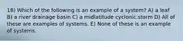 18) Which of the following is an example of a system? A) a leaf B) a river drainage basin C) a midlatitude cyclonic storm D) All of these are examples of systems. E) None of these is an example of systems.