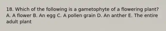 18. Which of the following is a gametophyte of a flowering plant? A. A flower B. An egg C. A pollen grain D. An anther E. The entire adult plant