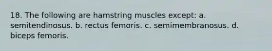 18. The following are hamstring muscles except: a. semitendinosus. b. rectus femoris. c. semimembranosus. d. biceps femoris.