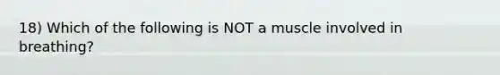 18) Which of the following is NOT a muscle involved in breathing?