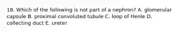 18. Which of the following is not part of a nephron? A. glomerular capsule B. proximal convoluted tubule C. loop of Henle D. collecting duct E. ureter
