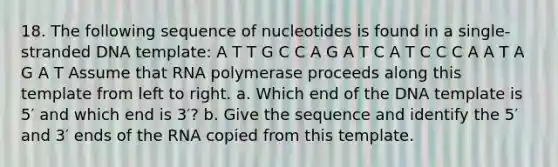 18. The following sequence of nucleotides is found in a single-stranded DNA template: A T T G C C A G A T C A T C C C A A T A G A T Assume that RNA polymerase proceeds along this template from left to right. a. Which end of the DNA template is 5′ and which end is 3′? b. Give the sequence and identify the 5′ and 3′ ends of the RNA copied from this template.