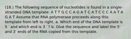 (18.) The following sequence of nucleotides is found in a single-stranded DNA template: A T T G C C A G A T C A T C C C A A T A G A T Assume that RNA polymerase proceeds along this template from left to right. a. Which end of the DNA template is 5 ′ and which end is 3 ′ ? b. Give the sequence and label the 5' and 3' ends of the RNA copied from this template.