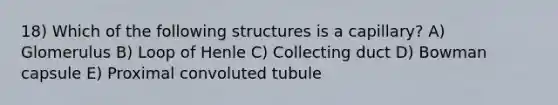 18) Which of the following structures is a capillary? A) Glomerulus B) Loop of Henle C) Collecting duct D) Bowman capsule E) Proximal convoluted tubule