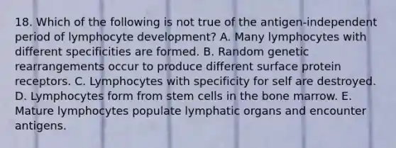 18. Which of the following is not true of the antigen-independent period of lymphocyte development? A. Many lymphocytes with different specificities are formed. B. Random genetic rearrangements occur to produce different surface protein receptors. C. Lymphocytes with specificity for self are destroyed. D. Lymphocytes form from stem cells in the bone marrow. E. Mature lymphocytes populate lymphatic organs and encounter antigens.