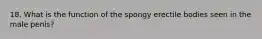 18. What is the function of the spongy erectile bodies seen in the male penis?