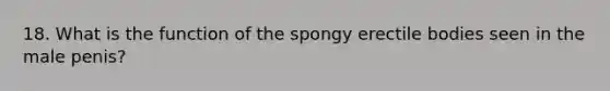 18. What is the function of the spongy erectile bodies seen in the male penis?