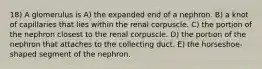 18) A glomerulus is A) the expanded end of a nephron. B) a knot of capillaries that lies within the renal corpuscle. C) the portion of the nephron closest to the renal corpuscle. D) the portion of the nephron that attaches to the collecting duct. E) the horseshoe-shaped segment of the nephron.