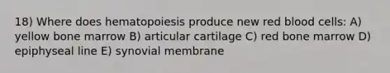 18) Where does hematopoiesis produce new red blood cells: A) yellow bone marrow B) articular cartilage C) red bone marrow D) epiphyseal line E) synovial membrane