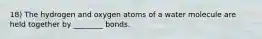 18) The hydrogen and oxygen atoms of a water molecule are held together by ________ bonds.