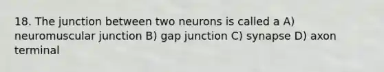 18. The junction between two neurons is called a A) neuromuscular junction B) gap junction C) synapse D) axon terminal