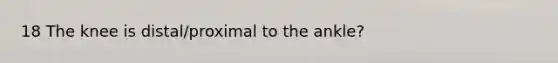 18 The knee is distal/proximal to the ankle?