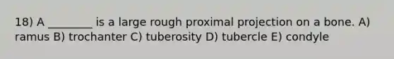 18) A ________ is a large rough proximal projection on a bone. A) ramus B) trochanter C) tuberosity D) tubercle E) condyle