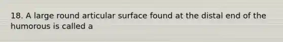 18. A large round articular surface found at the distal end of the humorous is called a