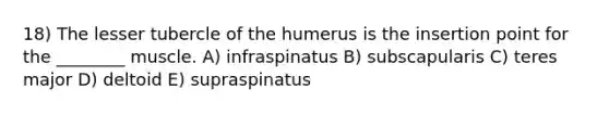 18) The lesser tubercle of the humerus is the insertion point for the ________ muscle. A) infraspinatus B) subscapularis C) teres major D) deltoid E) supraspinatus