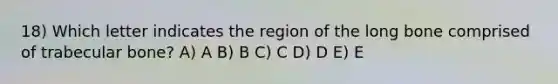 18) Which letter indicates the region of the long bone comprised of trabecular bone? A) A B) B C) C D) D E) E