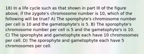 18) In a life cycle such as that shown in part III of the figure above, if the zygote's chromosome number is 10, which of the following will be true? A) The sporophyte's chromosome number per cell is 10 and the gametophyte's is 5. B) The sporophyte's chromosome number per cell is 5 and the gametophyte's is 10. C) The sporophyte and gametophyte each have 10 chromosomes per cell. D) The sporophyte and gametophyte each have 5 chromosomes per cell.