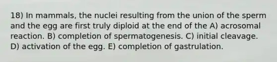 18) In mammals, the nuclei resulting from the union of the sperm and the egg are first truly diploid at the end of the A) acrosomal reaction. B) completion of spermatogenesis. C) initial cleavage. D) activation of the egg. E) completion of gastrulation.