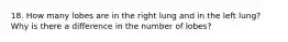 18. How many lobes are in the right lung and in the left lung? Why is there a difference in the number of lobes?