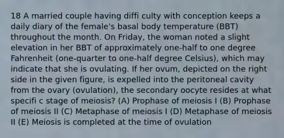 18 A married couple having diffi culty with conception keeps a daily diary of the female's basal body temperature (BBT) throughout the month. On Friday, the woman noted a slight elevation in her BBT of approximately one-half to one degree Fahrenheit (one-quarter to one-half degree Celsius), which may indicate that she is ovulating. If her ovum, depicted on the right side in the given figure, is expelled into the peritoneal cavity from the ovary (ovulation), the secondary oocyte resides at what specifi c stage of meiosis? (A) Prophase of meiosis I (B) Prophase of meiosis II (C) Metaphase of meiosis I (D) Metaphase of meiosis II (E) Meiosis is completed at the time of ovulation