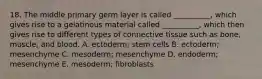 18. The middle primary germ layer is called __________, which gives rise to a gelatinous material called __________, which then gives rise to different types of connective tissue such as bone, muscle, and blood. A. ectoderm; stem cells B. ectoderm; mesenchyme C. mesoderm; mesenchyme D. endoderm; mesenchyme E. mesoderm; fibroblasts