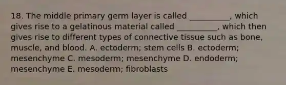 18. The middle primary germ layer is called __________, which gives rise to a gelatinous material called __________, which then gives rise to different types of <a href='https://www.questionai.com/knowledge/kYDr0DHyc8-connective-tissue' class='anchor-knowledge'>connective tissue</a> such as bone, muscle, and blood. A. ectoderm; stem cells B. ectoderm; mesenchyme C. mesoderm; mesenchyme D. endoderm; mesenchyme E. mesoderm; fibroblasts