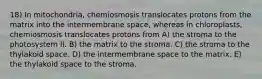 18) In mitochondria, chemiosmosis translocates protons from the matrix into the intermembrane space, whereas in chloroplasts, chemiosmosis translocates protons from A) the stroma to the photosystem II. B) the matrix to the stroma. C) the stroma to the thylakoid space. D) the intermembrane space to the matrix. E) the thylakoid space to the stroma.