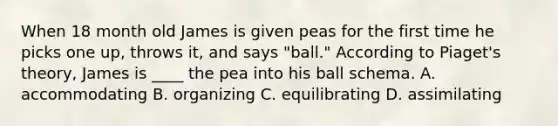 When 18 month old James is given peas for the first time he picks one up, throws it, and says "ball." According to Piaget's theory, James is ____ the pea into his ball schema. A. accommodating B. organizing C. equilibrating D. assimilating